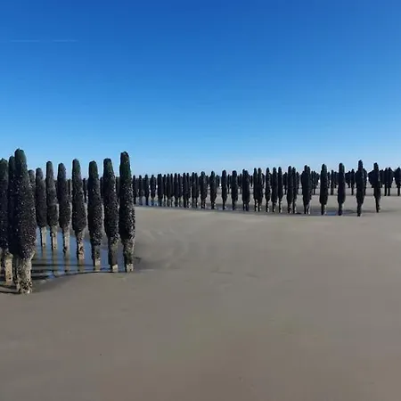 Du Cap Gris-nez Vue Avec Terrasse