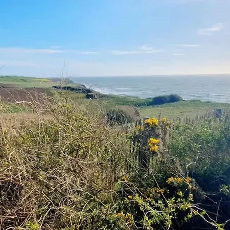 Du Cap Gris-nez Vue Avec Terrasse Audinghen
